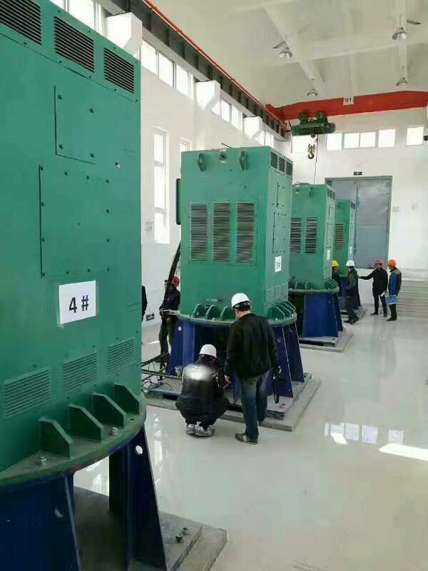 东丰某污水处理厂使用我厂的立式高压电机安装现场