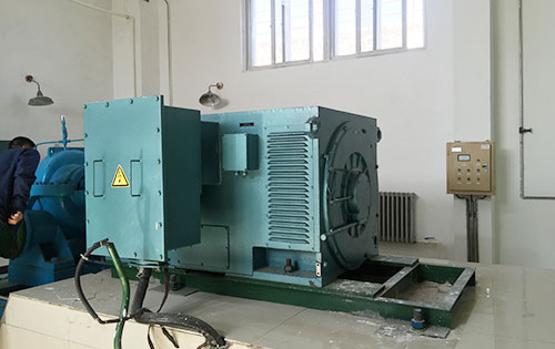 东丰某水电站工程主水泵使用我公司高压电机
